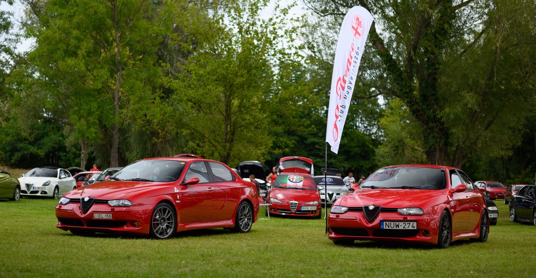 alfa2