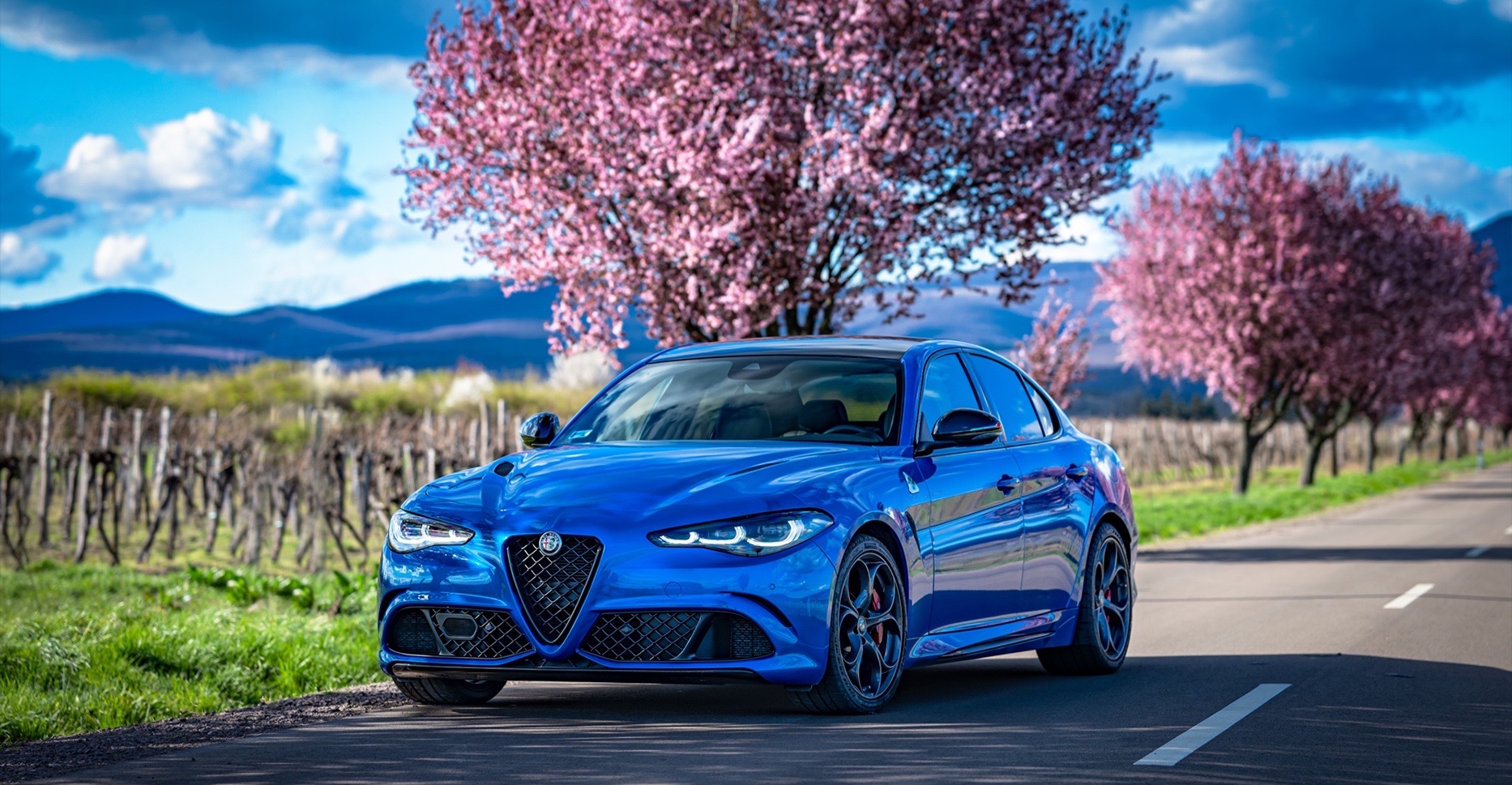 alfa4